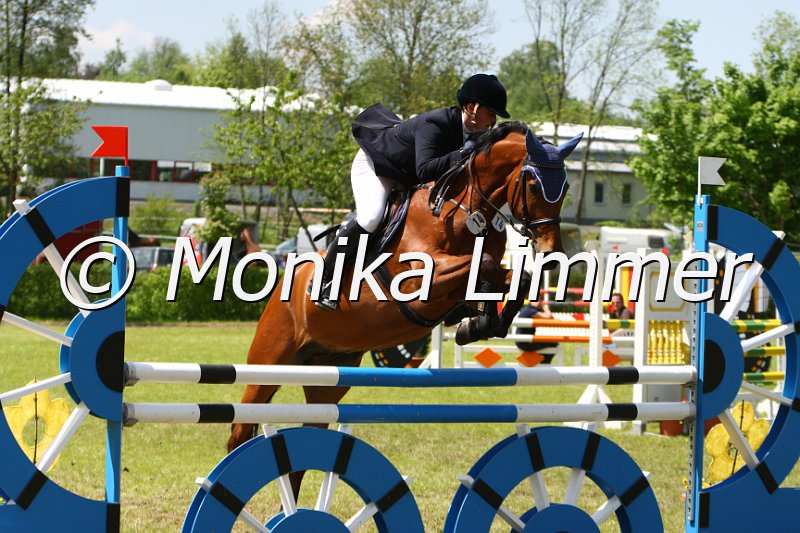 005M4959_Apollo_L Springen.JPG